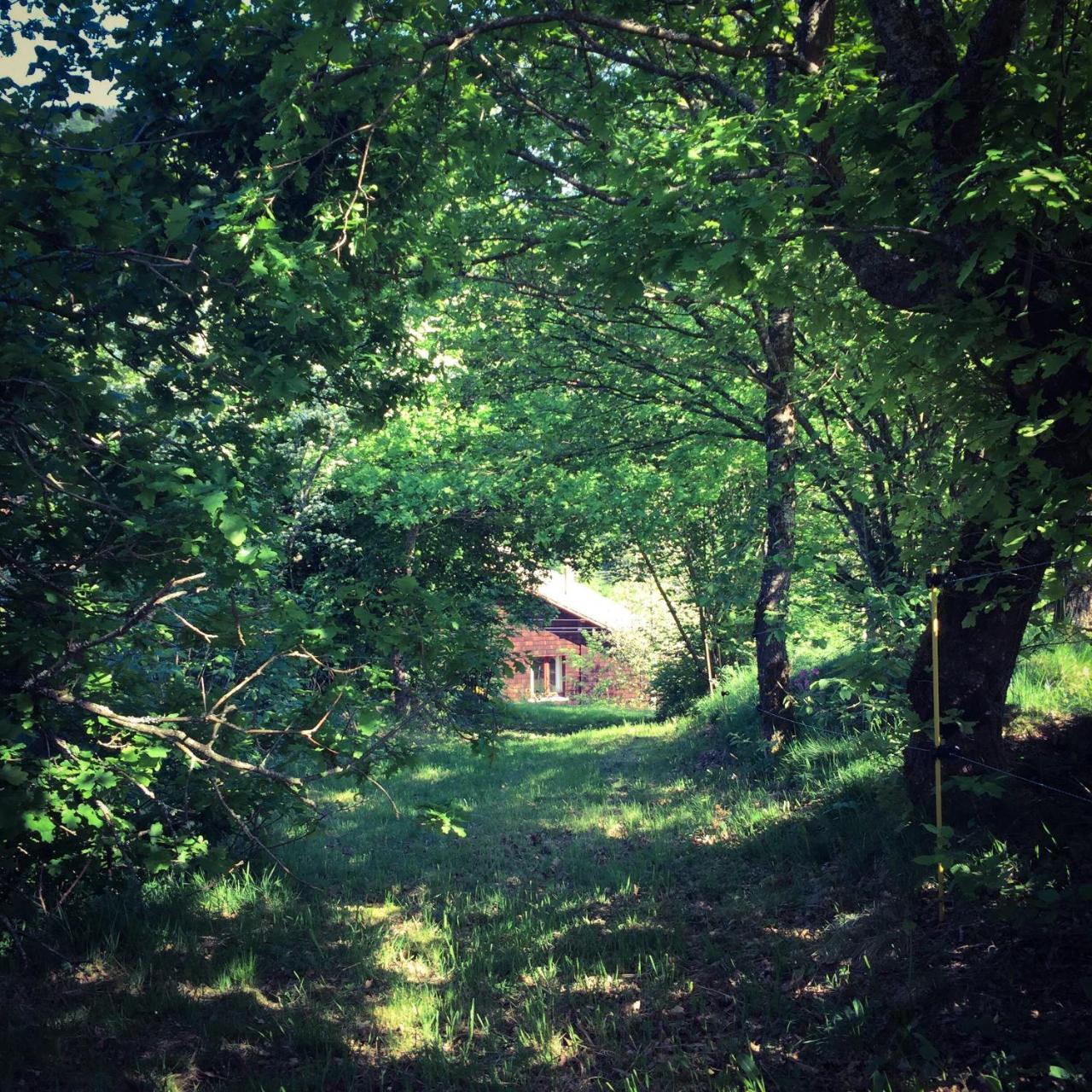 Silver Trees - Glamping Luxe tent Fresse-sur-Moselle