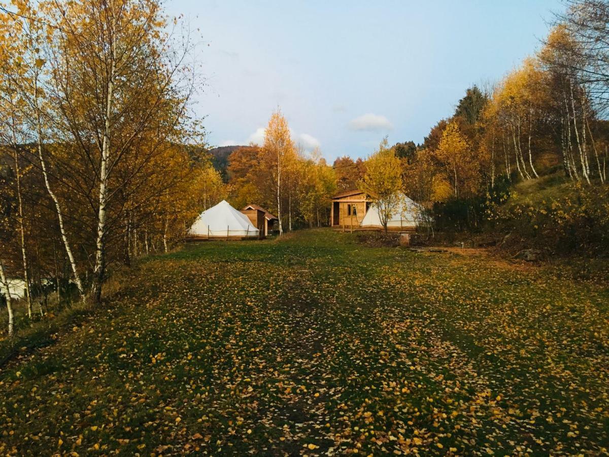 Silver Trees - Glamping * Fresse-sur-Moselle
