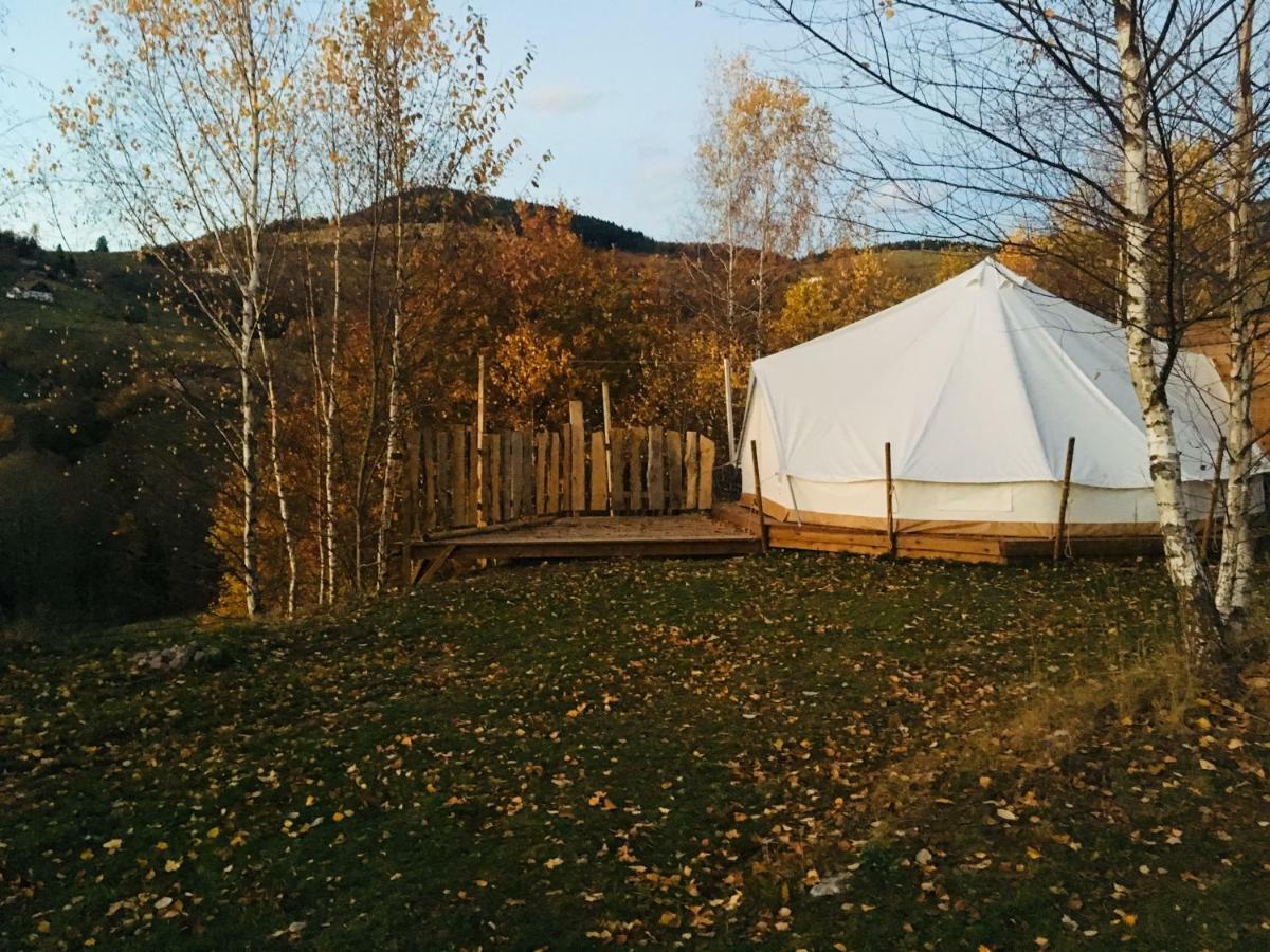 Silver Trees - Glamping Luxe tent